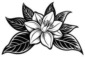 Striking Black and White Floral Illustration Elegant Flower with Lush Leaves, a Dramatic and Detailed Botanical Design vector