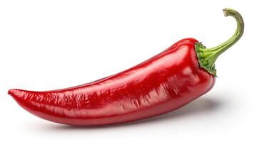 a red chili pepper on a white background photo