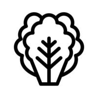 Illustration of Lettuce Line Icon vector