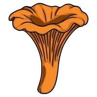 Detailed illustration of a chanterelle mushroom, showcasing its unique funnel shape and vibrant orange hue, perfect for culinary or nature-themed designs. vector
