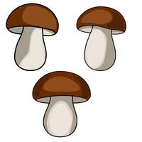 A charming illustration featuring three brown and beige mushrooms, each meticulously detailed with smooth gradients and subtle shading, creating a delightful and whimsical design. vector
