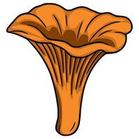 A illustration of a chanterelle mushroom, showcasing its unique funnel shape and vibrant orange hue, detailed with dark outlines for a hand-drawn aesthetic. vector