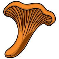 A illustration of a single chanterelle mushroom, showcasing its vibrant orange hue and unique funnel shape with detailed gills, ideal for autumnal designs and culinary applications. vector