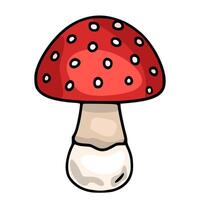 illustration of a cartoon fly agaric amanita mushroom with a red cap and white spots, featuring a unique hand-drawn style and distinct color palette. vector