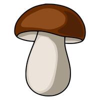 A charming illustration of a porcino mushroom, featuring a smooth, rounded cap and a bulbous stem, perfect for culinary or nature-themed designs. vector