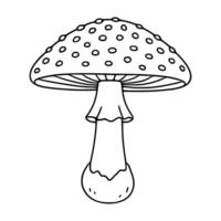 A charming illustration of a whimsical amanita mushroom with a dotted cap and a bulbous base, featuring a hand-drawn style and bold outlines. vector