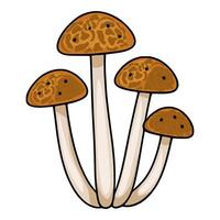 A charming illustration of four brown honey agarics mushrooms with unique speckled caps and slender stems, clustered together against a white background. vector