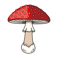 A whimsical illustration of a red toadstool amanita mushroom with white spots, featuring a detailed cap, textured gills, and a bulbous base, perfect for autumnal designs. vector