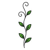 Elegant illustration of a stylized plant with swirling tendrils and vibrant green leaves, perfect for design projects requiring a touch of nature. vector