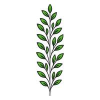 Elegant vertical illustration of a stylized green sprig with detailed leaves, perfect for design projects needing a touch of nature. vector