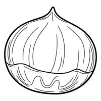 Detailed illustration of a chestnuts in a hand-drawn style, featuring a unique wavy bottom line and distinct lines emphasizing the nuts texture. vector