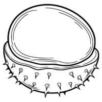A detailed illustration of a chestnut husk, showcasing its spiky exterior and smooth inner shell, perfect for autumnal designs or nature-themed projects. vector