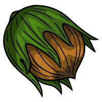 A illustration of a hazelnut in its husk, showcasing a stylized hand-drawn design with vibrant green leaves and a rich brown nut. vector