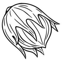 Stylish illustration of a single, hand-drawn, black and white stylized flower bud, featuring bold lines and organic shapes, perfect for design projects needing a unique botanical element. vector