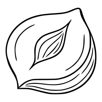 illustration of a stylized halved hazelnut, featuring bold black lines and a unique, flowing design, perfect for culinary or abstract projects.