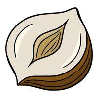 A whimsical illustration of a halved hazelnut, showcasing its creamy interior and rich brown shell, drawn in a cartoon style with bold outlines. vector