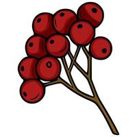 A illustration of a stylized sprig of red berries, featuring bold outlines and a dark brown stem, suitable for autumnal designs and seasonal greetings. vector