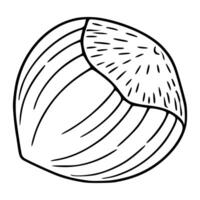 A illustration of a single hazelnut, depicted in a hand-drawn style with bold black lines on a white background, showcasing its textured shell and unique segmented structure. vector
