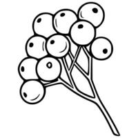 Elegant illustration of a stylized sprig with round berries, perfect for design projects requiring a touch of minimalist nature. vector