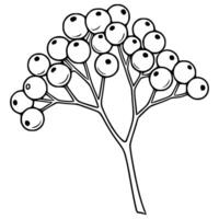 Elegant illustration of a stylized branch with berries, perfect for design projects needing a touch of nature-inspired simplicity. vector