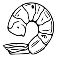 illustration of a single shrimp, detailed black and white line art style, showcasing the crustaceans segmented body and tail. vector