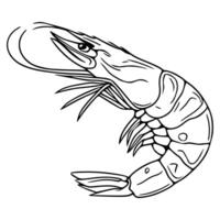 Detailed illustration of a single shrimp, showcasing its intricate body segments and delicate antennae, rendered in a bold black outline against a white background. vector