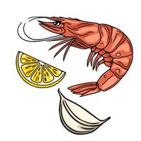 illustration of a grilled shrimp with lemon and garlic, showcasing a vibrant, handdrawn style perfect for food blogs, menus, or recipe websites. vector
