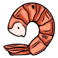 Delicious Cooked Shrimp Illustration A Detailed Closeup of a Single, Perfectly Curled Shrimp with a Vibrant Orange Hue and Black Outline. vector