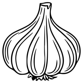 Detailed illustration of a single garlic bulb, showcasing its segmented structure and textured surface in a bold black and white style. vector