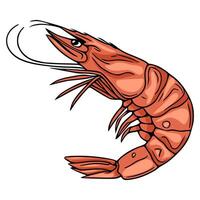 A vibrant illustration of a single, stylized shrimp, depicted in a dynamic pose with detailed anatomical features and a bold, orangecoral color palette, suitable for culinary or seafoodthe... vector