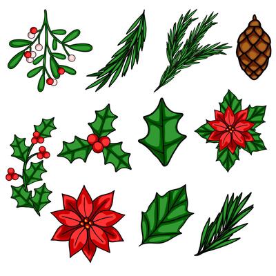 A vibrant illustration of a collection of handdrawn Christmas botanical elements, including holly, mistletoe, poinsettia, pine branches, and a pine cone, perfect for festive designs.