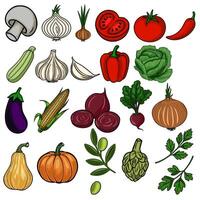 A vibrant illustration featuring a diverse collection of handdrawn vegetables, including mushrooms, garlic, onions, tomatoes, peppers, cabbage, eggplant, corn, beets, and pumpkins, showcasi... vector