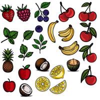 A vibrant illustration featuring a diverse collection of handdrawn fruits, including strawberries, raspberries, blueberries, cherries, bananas, pineapple, apples, coconut, and lemons, each... vector