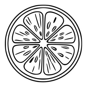 illustration of a stylized citrus fruit slice, featuring a handdrawn style with bold black lines and segmented detailing, ideal for design projects requiring a unique, graphic representatio... vector