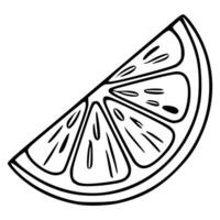 A illustration of a single lemon slice, meticulously detailed with bold black lines against a white background, showcasing a handdrawn style perfect for menu design or fresh citrus themes. vector