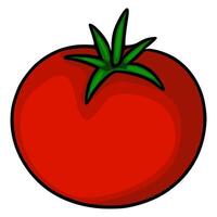 A vibrant illustration of a single ripe red tomato with a detailed green stem, showcasing a bold and simplistic cartoon style perfect for culinary designs. vector