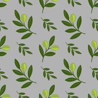 Seamless pattern of stylized olive branches with light green olives and dark green leaves on a gray background, creating a fresh and natural design. vector