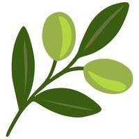 A stylized illustration of an olive branch with two olives and several leaves, showcasing a minimalist design with varying shades of green. vector