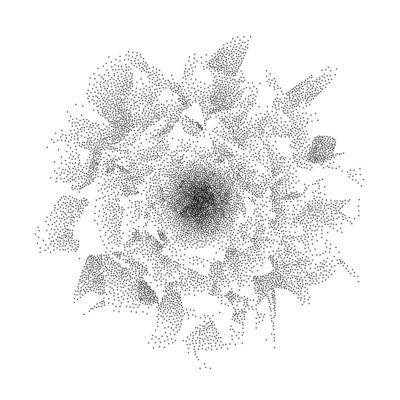 Black dotted rose flower form. Textured plant petal element for leaflet, banner, poster, booklet, brochure. Stippled dot work botanical illustration with grain effect. Sand noise peony shape