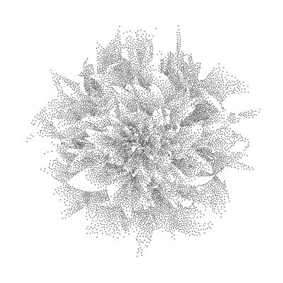 Black dotted rose flower form. Textured plant petal element for leaflet, banner, poster, booklet, brochure. Stippled peony dotwork illustration with grain effect. Sand noise botanical shape