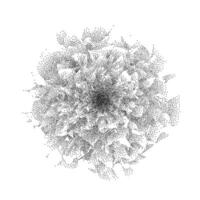 Black dotted rose flower form. Textured plant peony element for leaflet, banner, poster, booklet, brochure. Stippled dot work botanical illustration with grain effect. Sand noise petals shape vector
