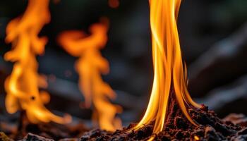 close up view of raging fire climbing up a tall wax pillar. photo