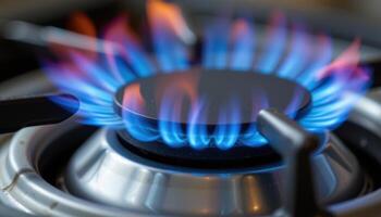 close up view of blue flames gently licking the surface of a metal burner, with subtle color shifts from core to tip. photo