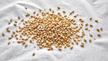 close up view of rye seeds spread evenly across white cotton cloth in minimalist composition. photo