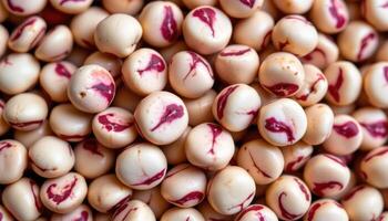 close up view of cranberry bean seeds patterned in mottled red and white swirls. photo