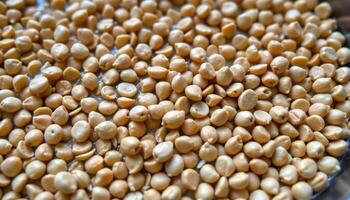close up view of soaked fenugreek seeds beginning to germinate. photo