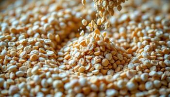 close up view of barley seeds and their chaff mid separation in a swirling motion. photo