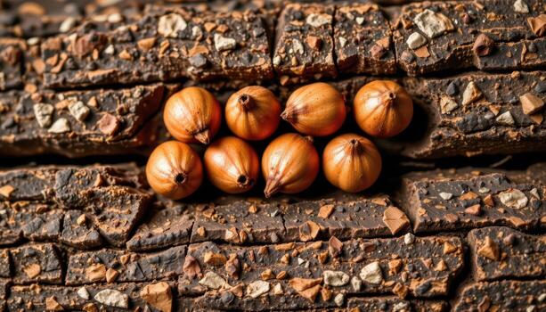 close up view of tamarind tree seeds grouped in threes on bark textured wood. photo