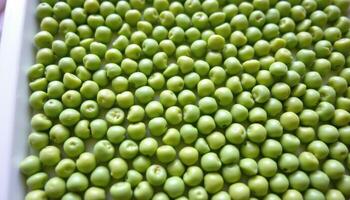 close up view of green pea seeds perfectly spherical and lined in rows on a white tray. photo