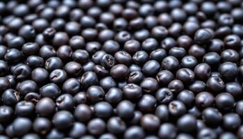 close up view of shiny black bean seeds arranged neatly in a circle with muted color grading. photo